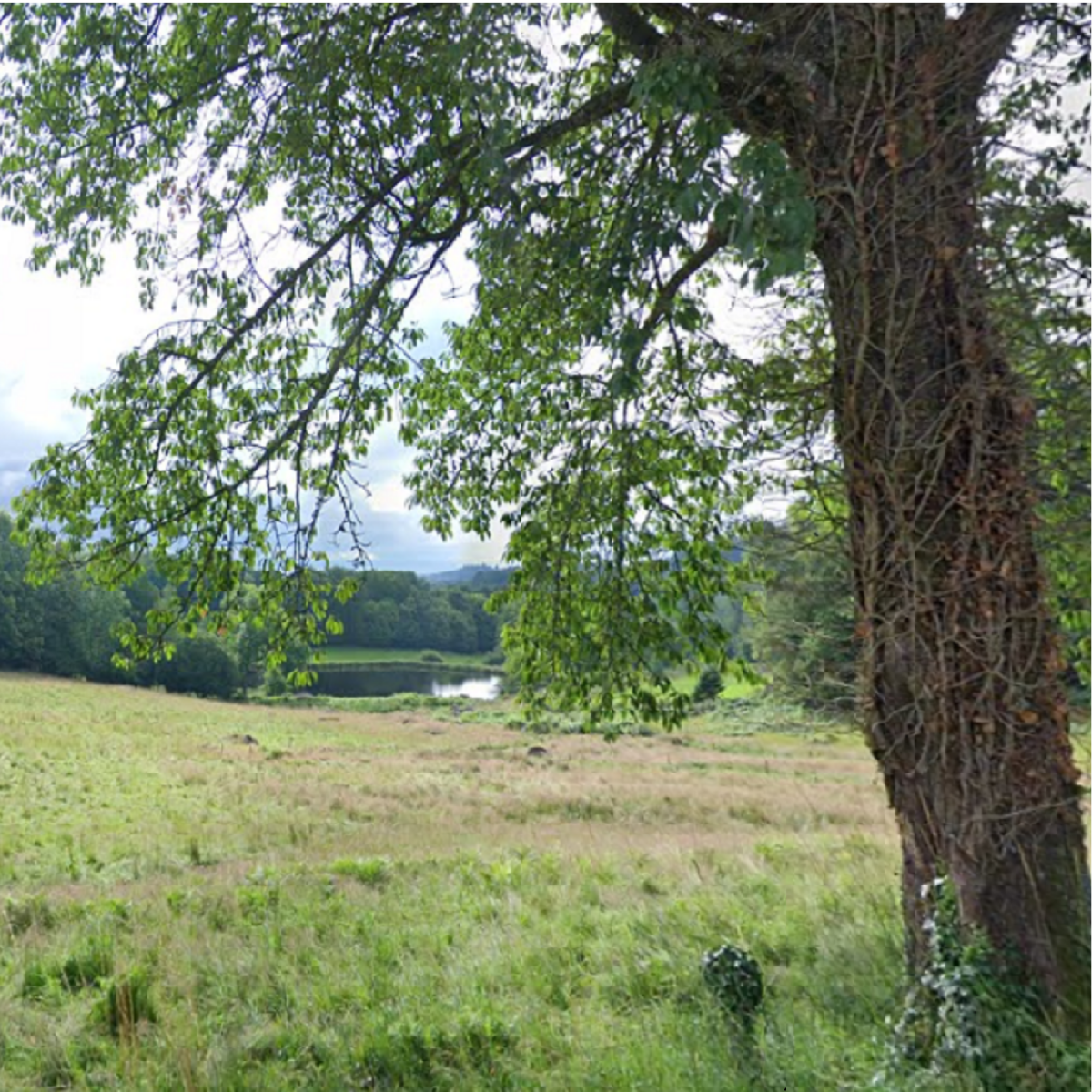 Vue sur le plan d'eau de La Royère